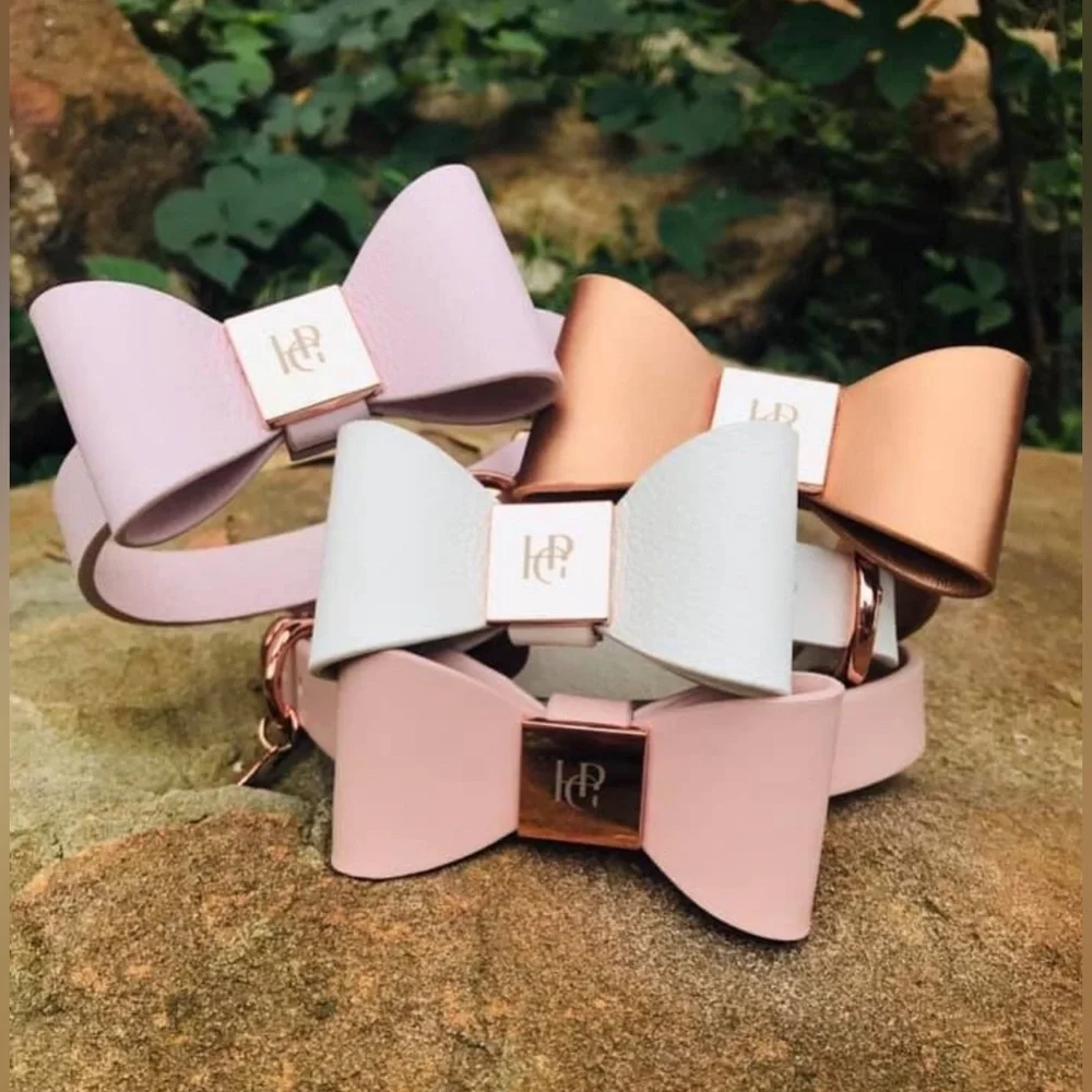 Gold Leather Dog Collar | Gold Hardware and Removable Bow | Small - Picture 15 of 15